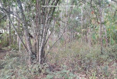 Commercial Land at Embulbul - 3