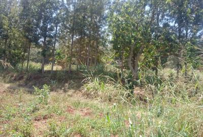 Land at Ololua Ridge - 4