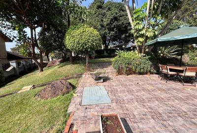 Commercial Property with Backup Generator in Lavington - 4