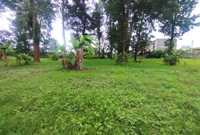 0.8 ac Land at Mumbi Road