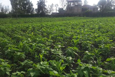 0.25 ac Residential Land in Ongata Rongai