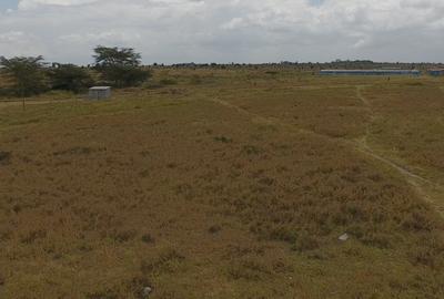 3.5 ac Land at Opposite Pj Dave
