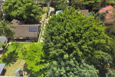 Commercial Land in Lavington