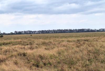 700 ac Land at Bisil - 2