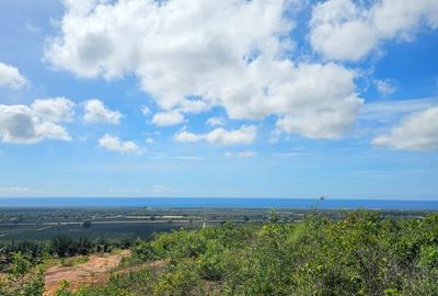 Land at Shariani