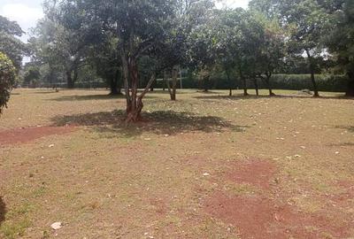 3 ac Land in Karen