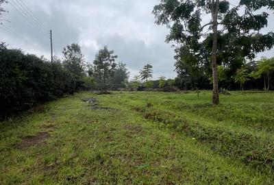1 ac Land in Karen Hardy - 3
