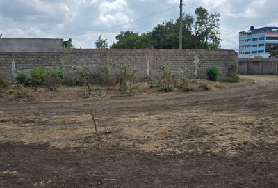 0.125 ac Commercial Land at Kamakis - 3