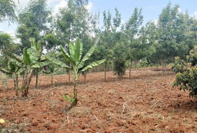 0.25 ac Land at Ndeiya Kiroe Limuru - 4