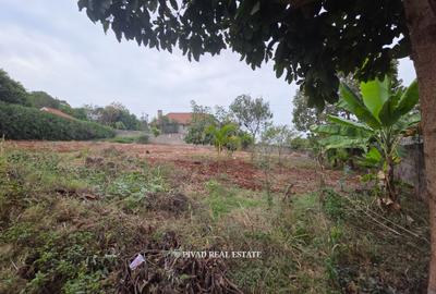 0.5 ac Land at Eliud Mathu - 2