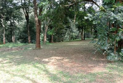 2.00 ac Land in Runda - 4