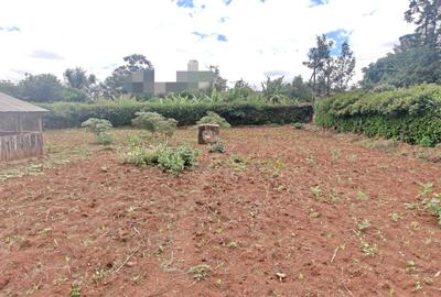 0.5 ac Land in Thome - 2