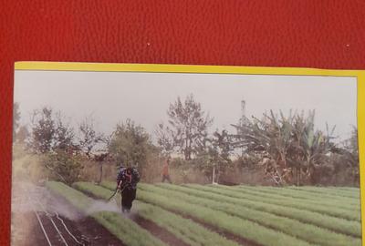 0.125 ac Land in Kisaju