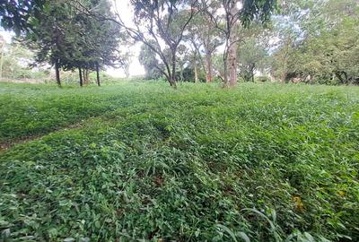 Residential Land at General Mathenge Drive
