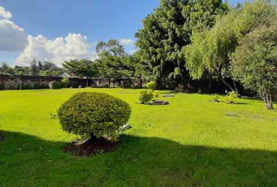 1 ac Commercial Property with Backup Generator in Lavington - 4