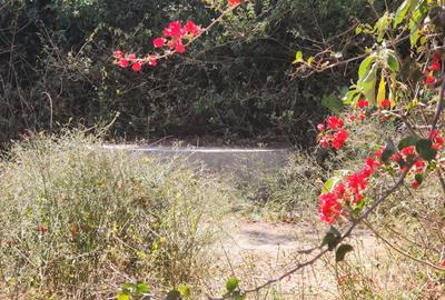 0.5 ac Land in Karen - 3