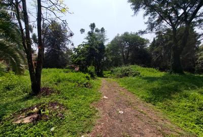 Land at Mandera Road