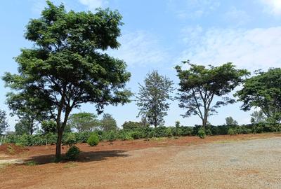 Residential Land at Tatu City