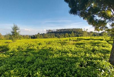 0.5 ac Residential Land at Limuru Girls