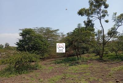 0.125 ac Commercial Land at Kimbo