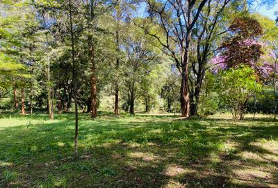 Land at Windy Ridge