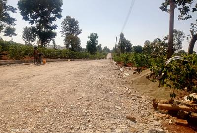 0.5 ac Land at Runda - 4