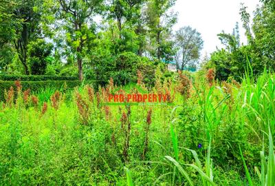 0.05 ha Commercial Land at Thogoto