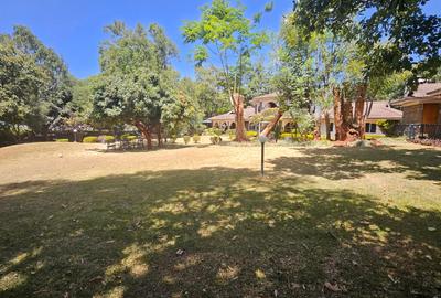 Commercial Property in Lavington - 4