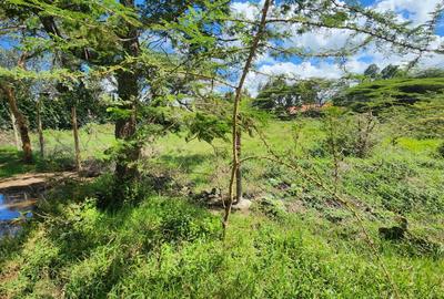 0.5 ac Land at Masai Lodge