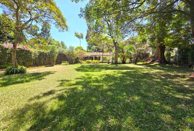 3 Bed House with Staff Quarters in Lavington - 2