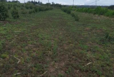 736,554 m² Land in Narok