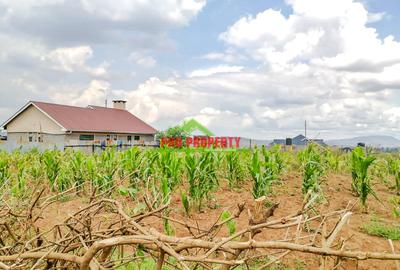 0.05 ha Residential Land at Kamangu