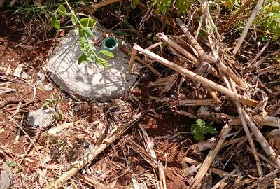 0.05 ha Residential Land at Matasia - 2