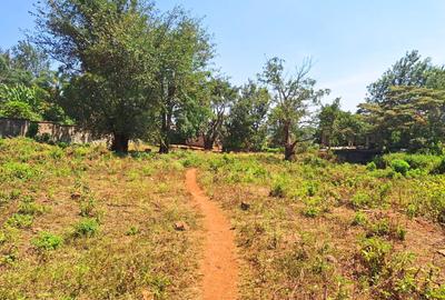 0.75 ac Commercial Land at Thindigua - 3