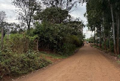 0.5 ac Land in Ruaka - 4