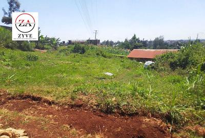 0.25 ac Land at Rwaka