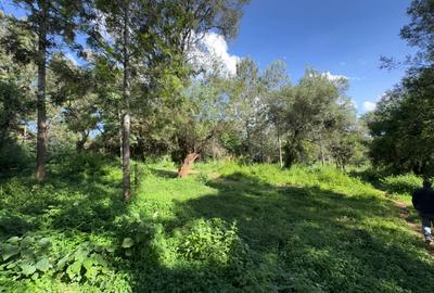 0.5 ac Land in Lake View - 3