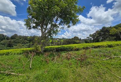 10 ac Residential Land in Tigoni - 2