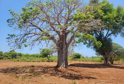 0.2 ha Land at Beach Road - 2