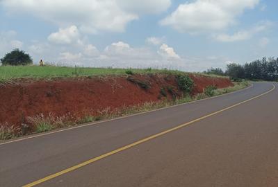 5 ac Land at Near Tatu City