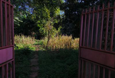 1.1 m² Land in Runda