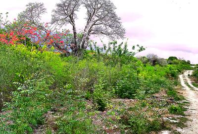 2,010 m² Residential Land at Second Row Kuruwitu Beach - 2