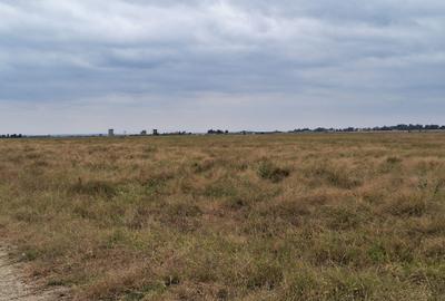 700 ac Land at Bisil - 4