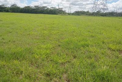 0.125 ac Land at Salgaa