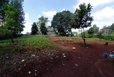 Residential Land at Kirawa Road