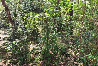 0.5 ac Land at Hardy - 4