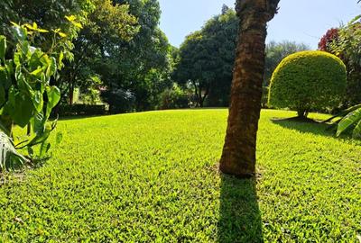 4 Bed Townhouse with En Suite in Runda - 4