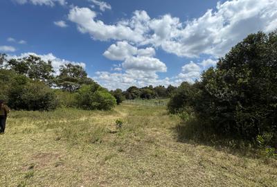 1 ac Land in Karen - 4