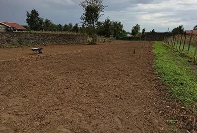 0.5 ac Residential Land at Kiamunyeki - 4