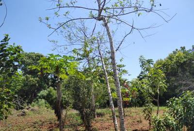 1,000 m² Residential Land at Mvindeni - 4